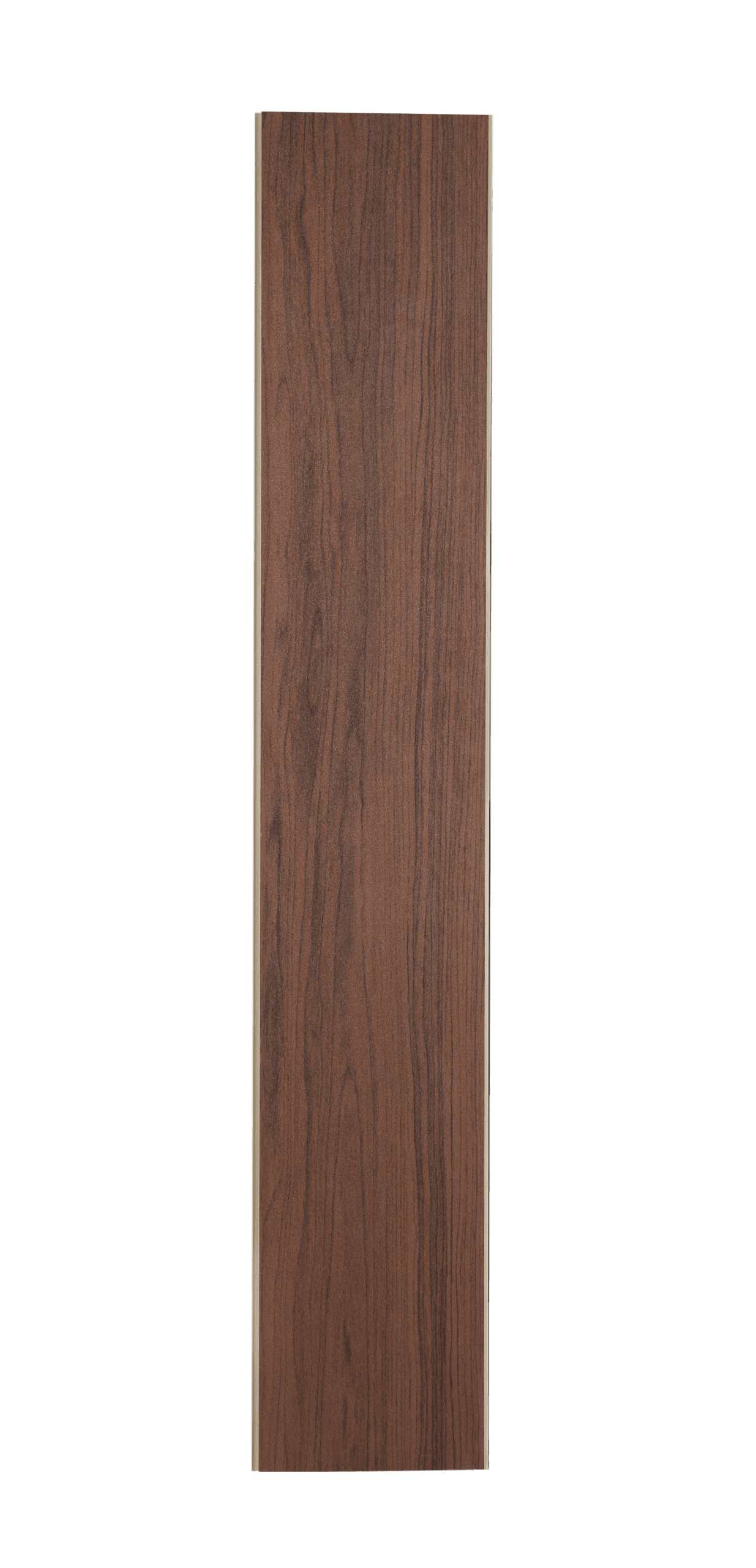 پارکت گردویی جنگلی